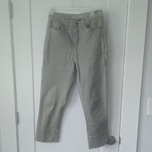 DG2 by Diane Gilman Gray Pants